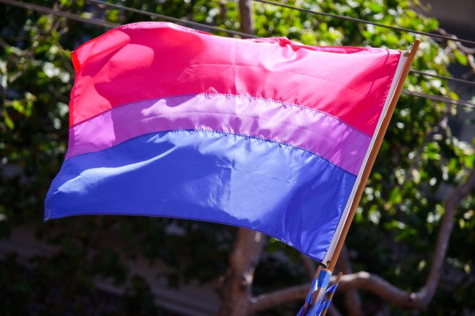 Bandeira do Orgulho Bissexual (Foto: Peter Salanki via Wikimedia Commons)